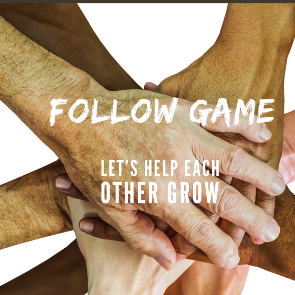 MY FIRST FOLLOW GAME - Picture 2 of 3